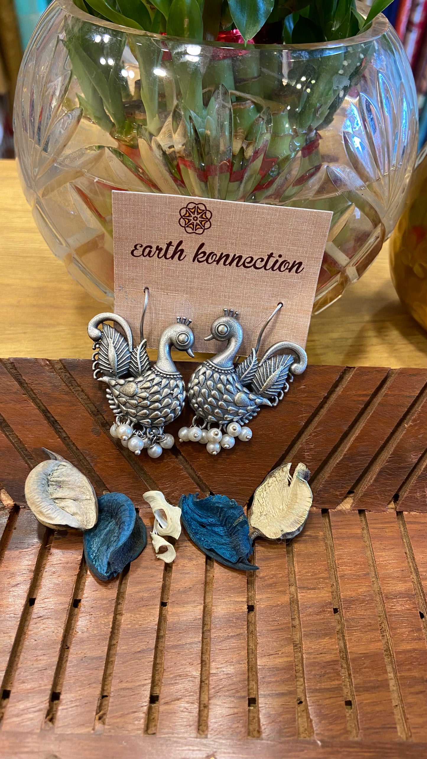 COSTUME HANGING EARNING