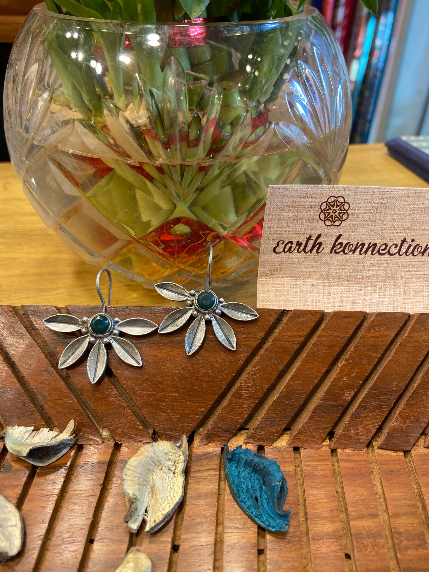 COSTUME HANGING EARNING