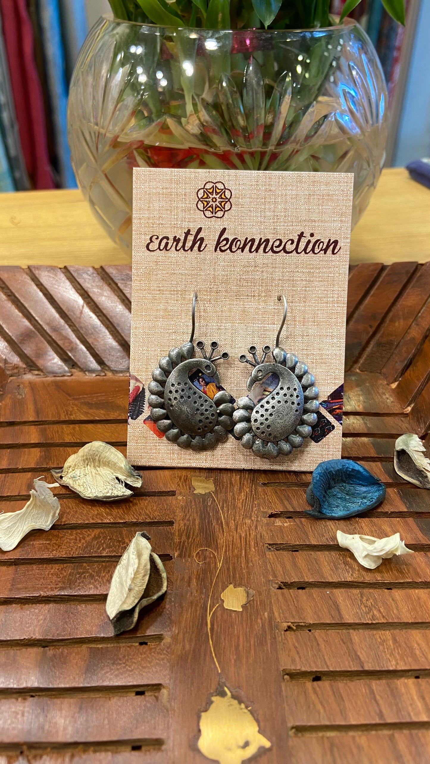 COSTUME HANGING EARNING